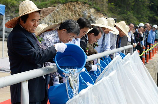 Completion of Fish Hatchery & Release of Baby Fish Photos