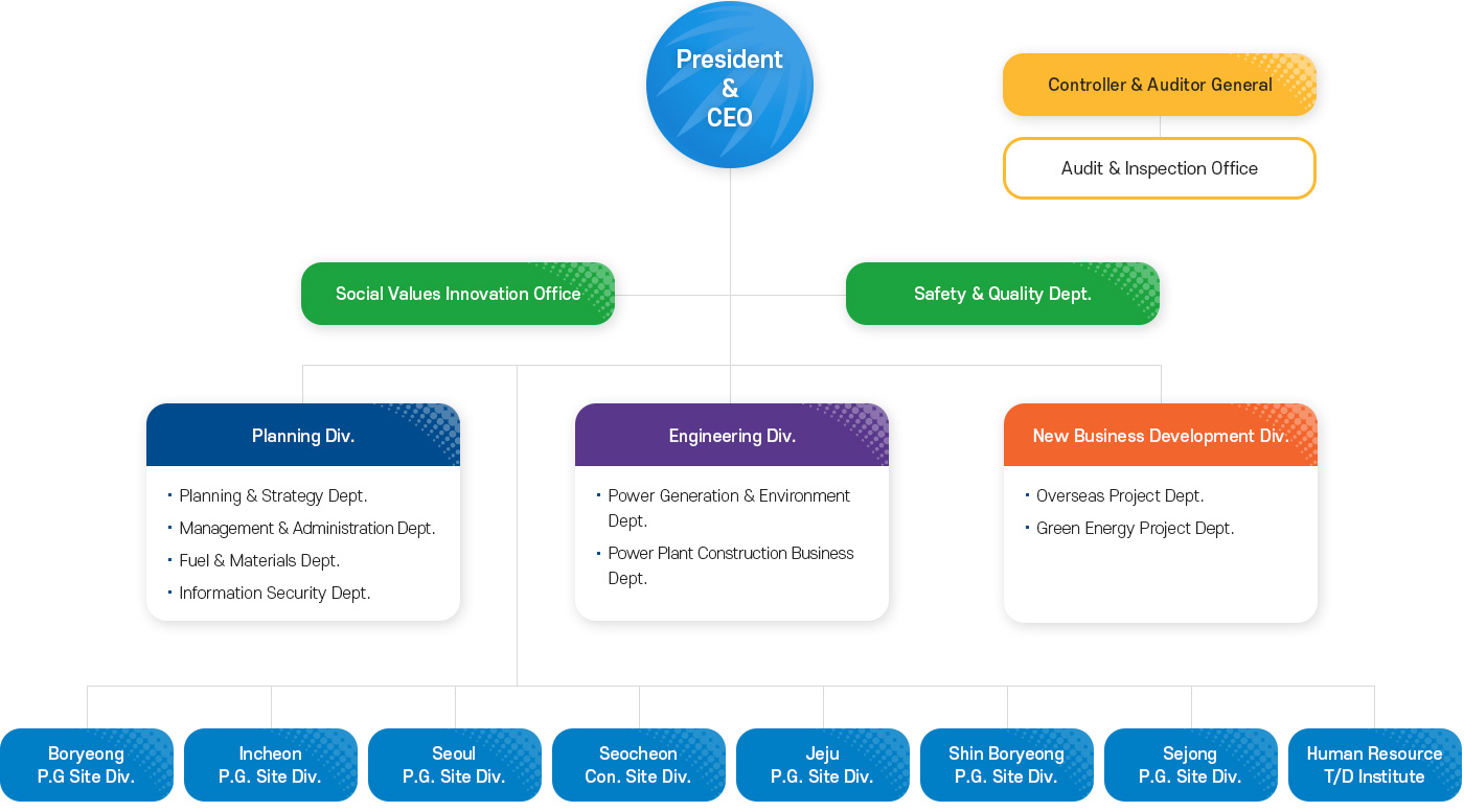 Head Office Organization Chart